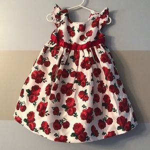 Rose pattern little girl dressy dress